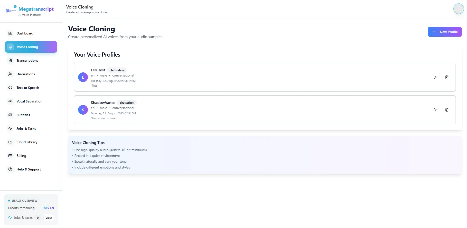 Screenshot 7 of MegaTranscript