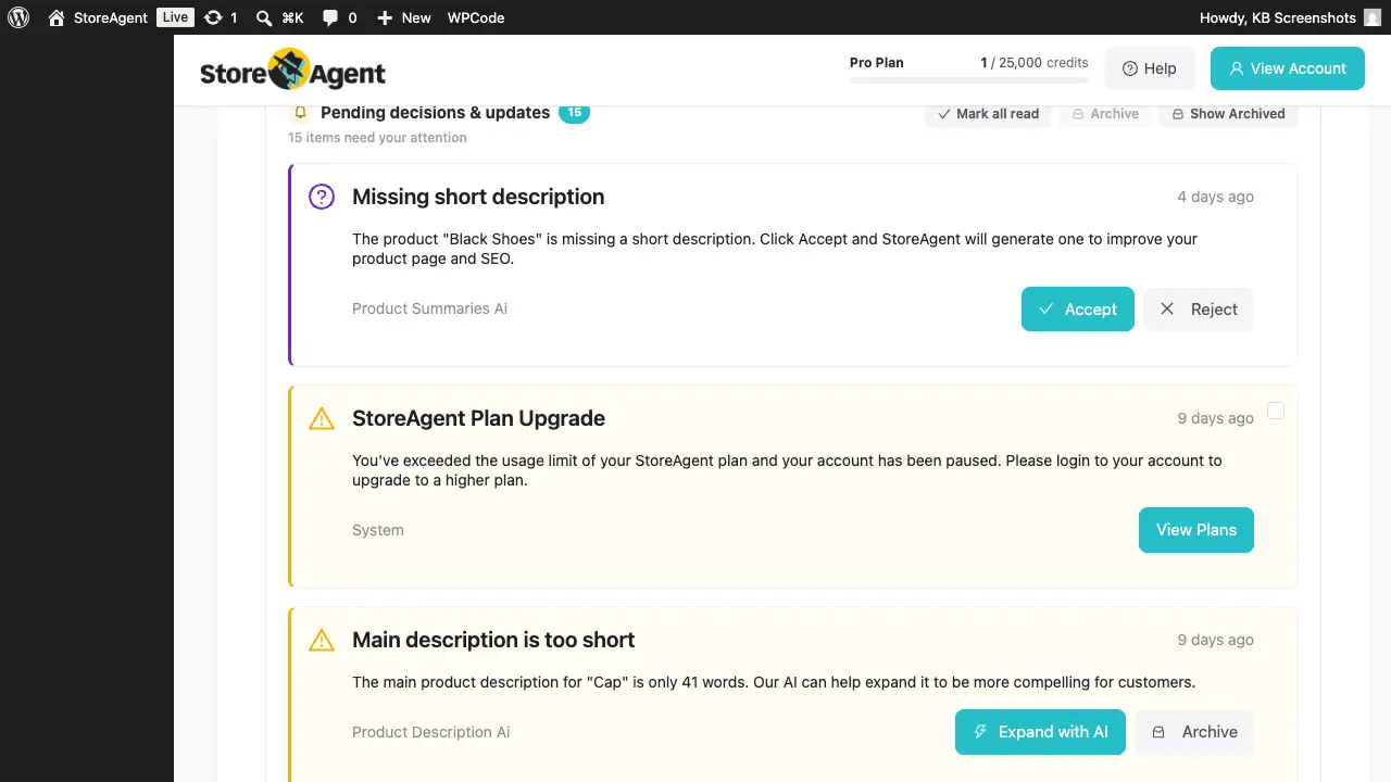 Screenshot 1 of StoreAgent AI