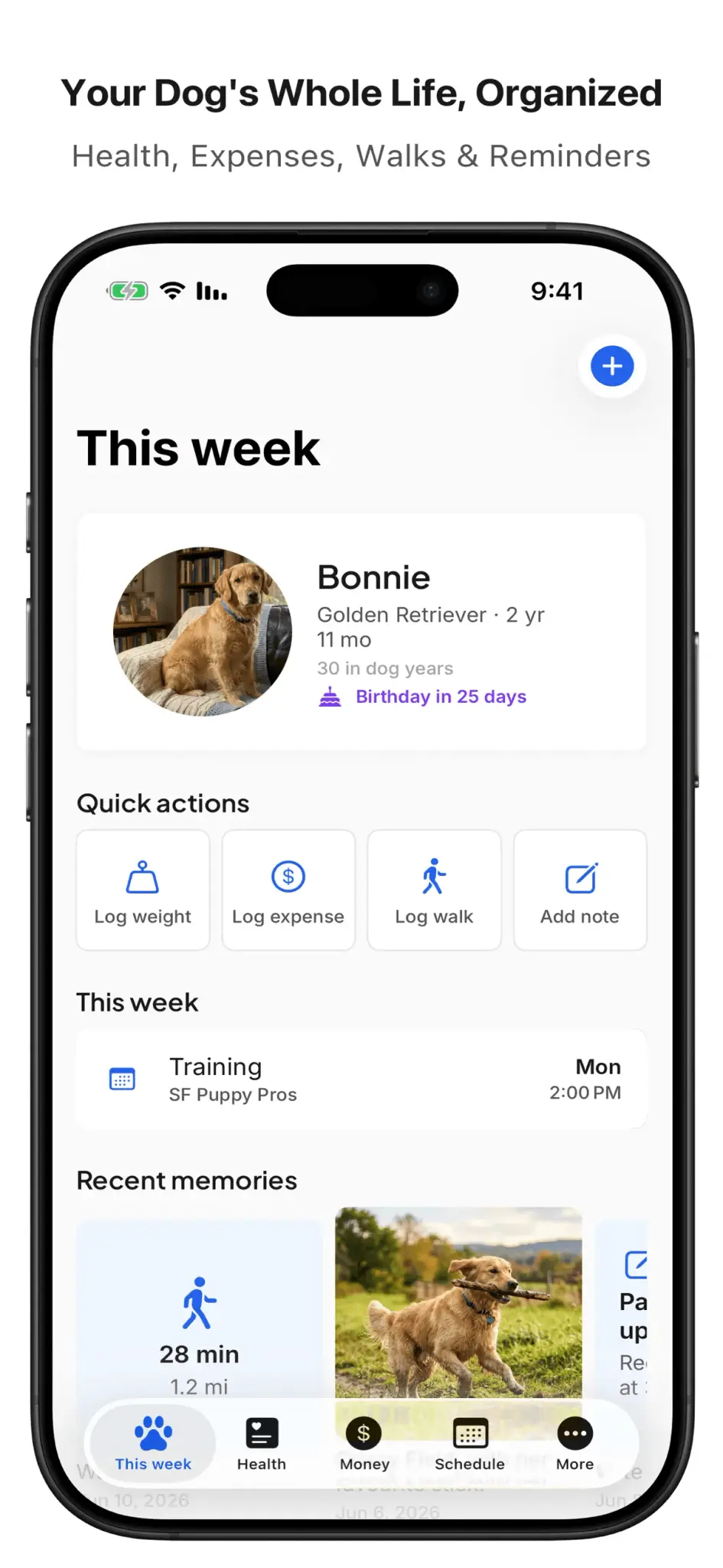 Screenshot 5 of dog-stories