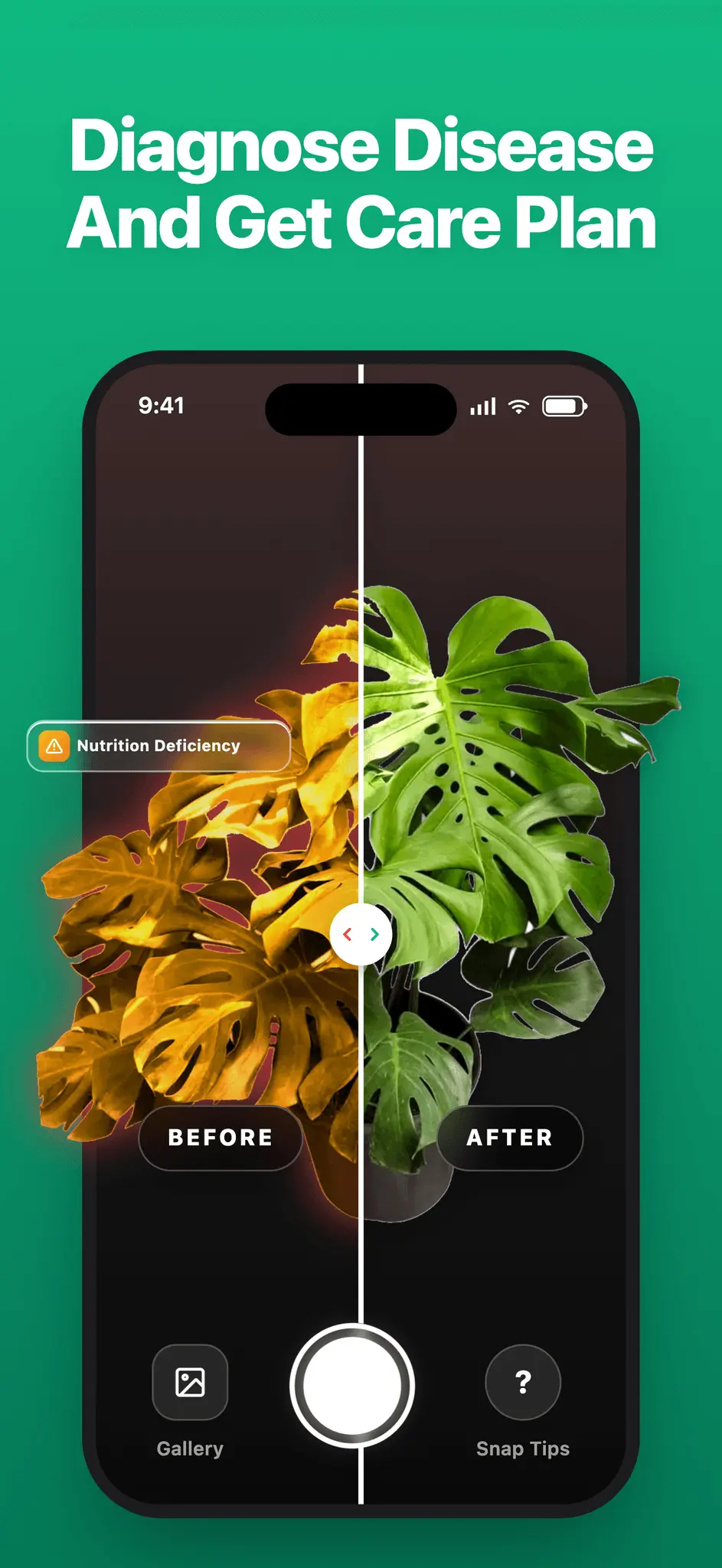 Screenshot 1 of LivePlant : Plant Identifier