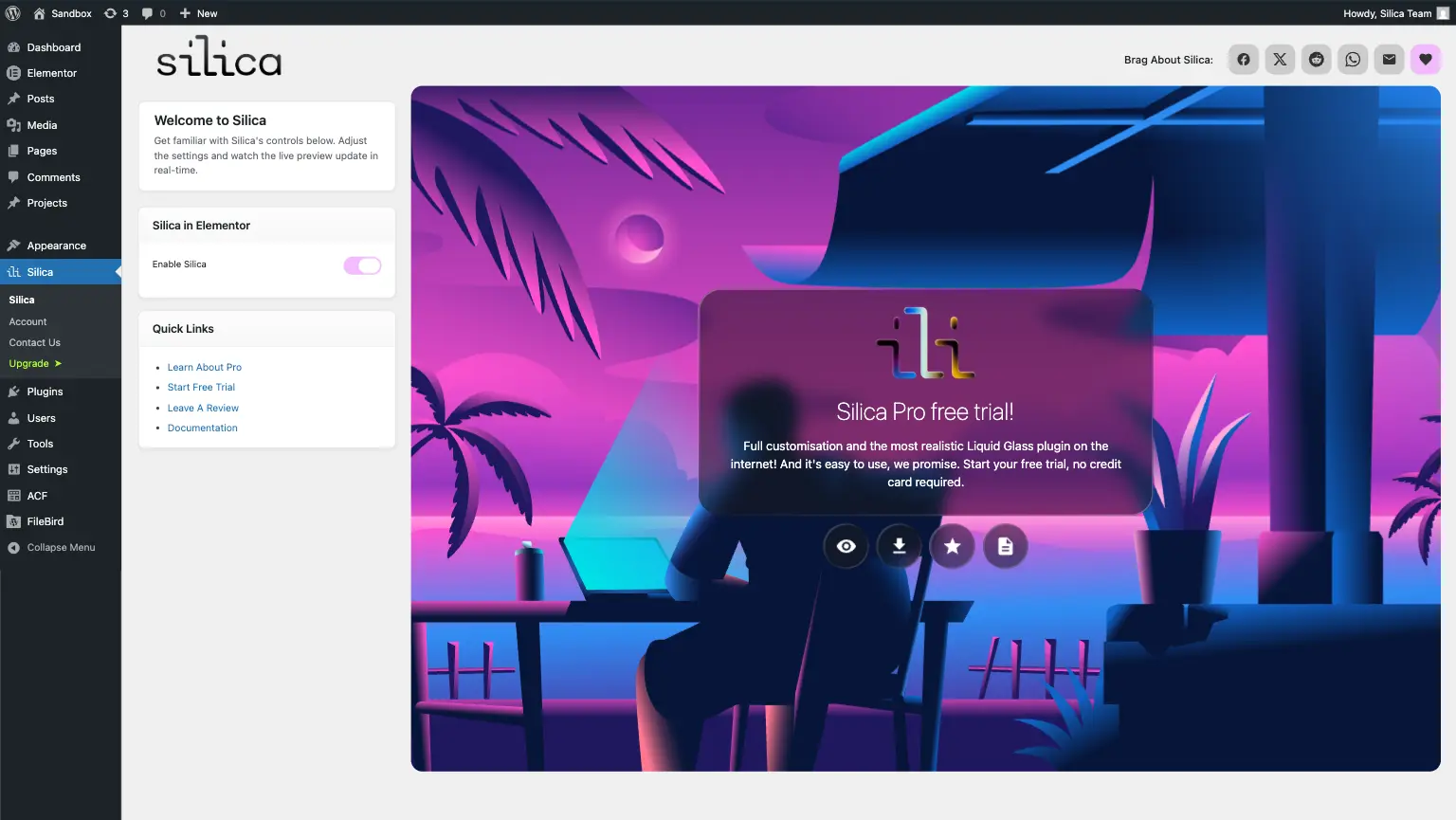 Screenshot 6 of Silica Plugin
