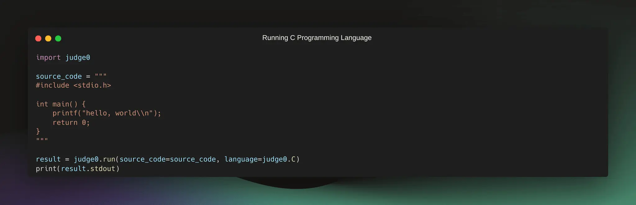 Screenshot 10 of Judge0