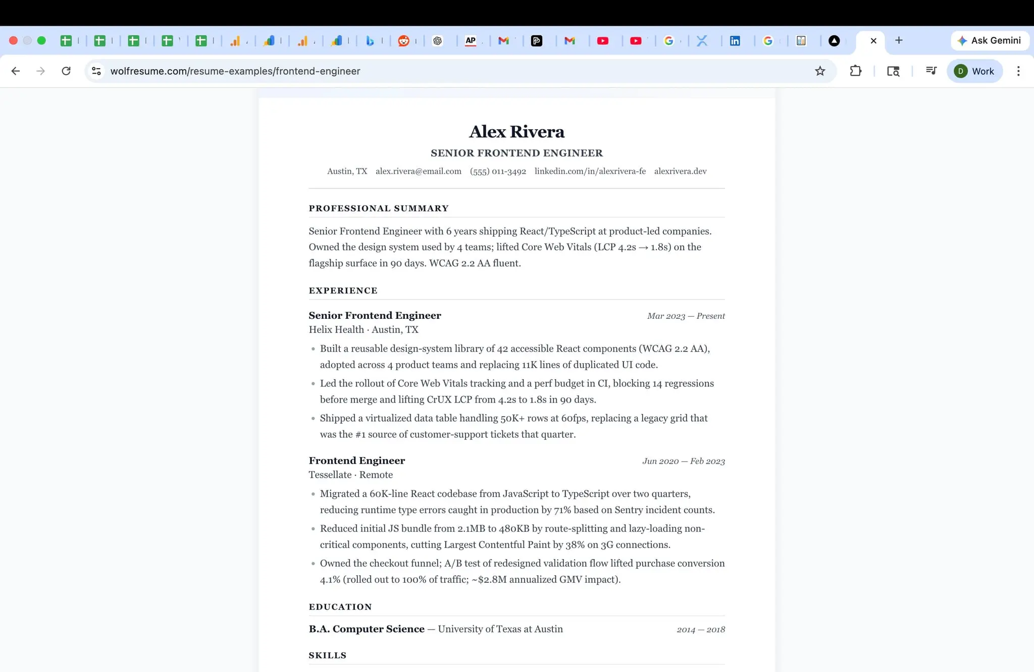Screenshot 4 of WolfResume
