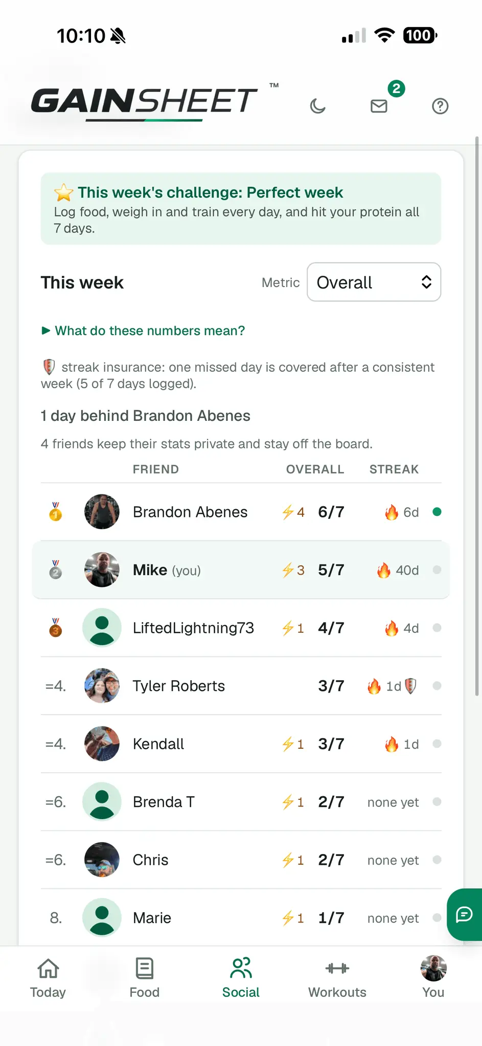 Screenshot 3 of Gainsheet