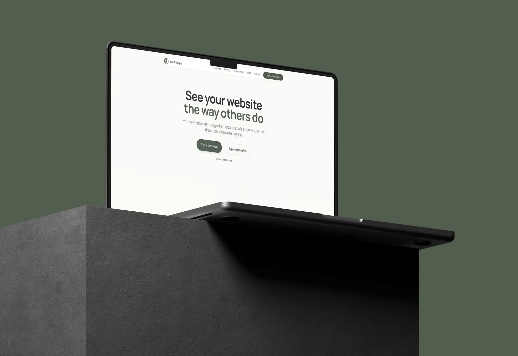 Screenshot 1 of Site Critique