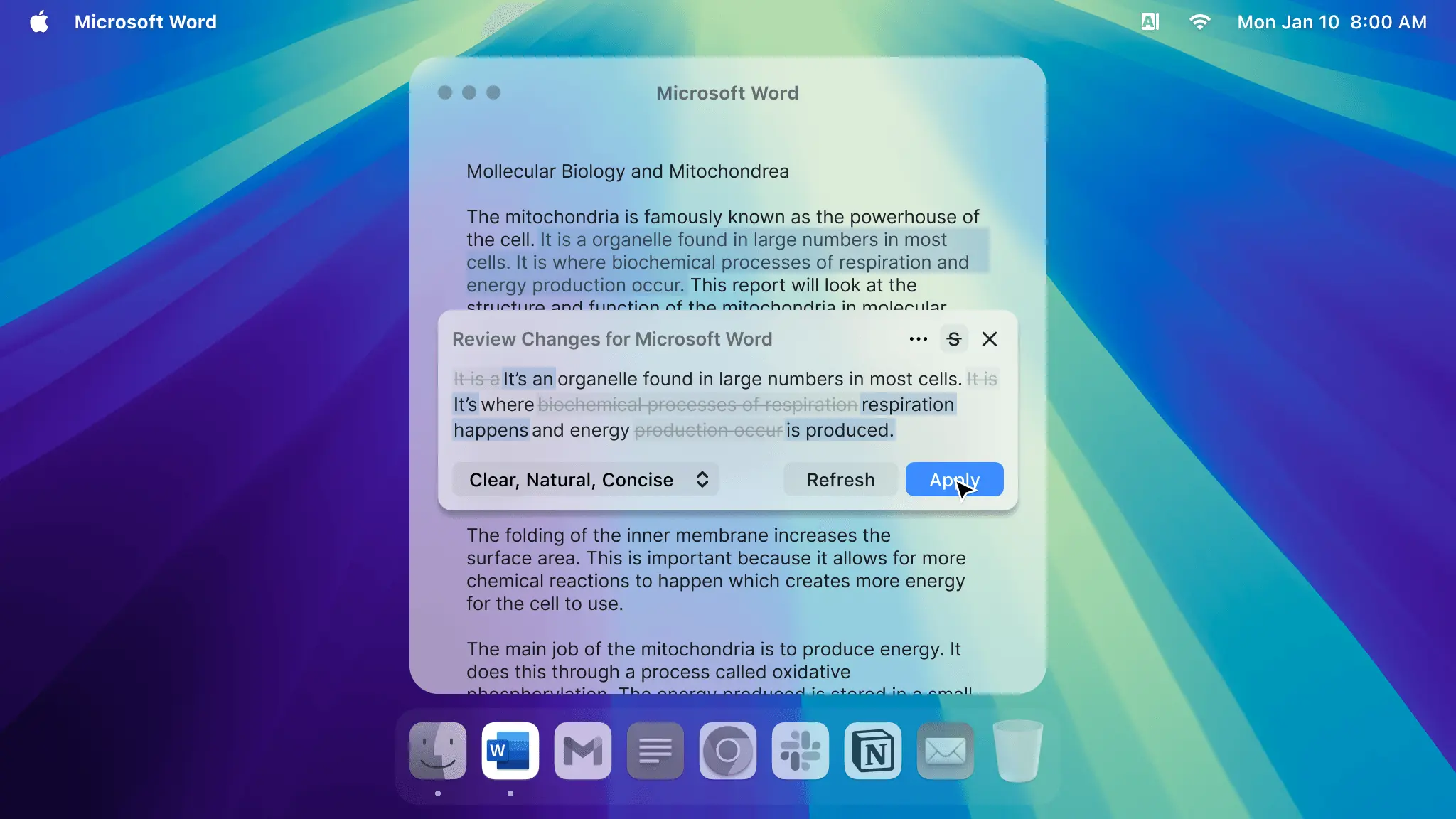 Screenshot 4 of WordPolish