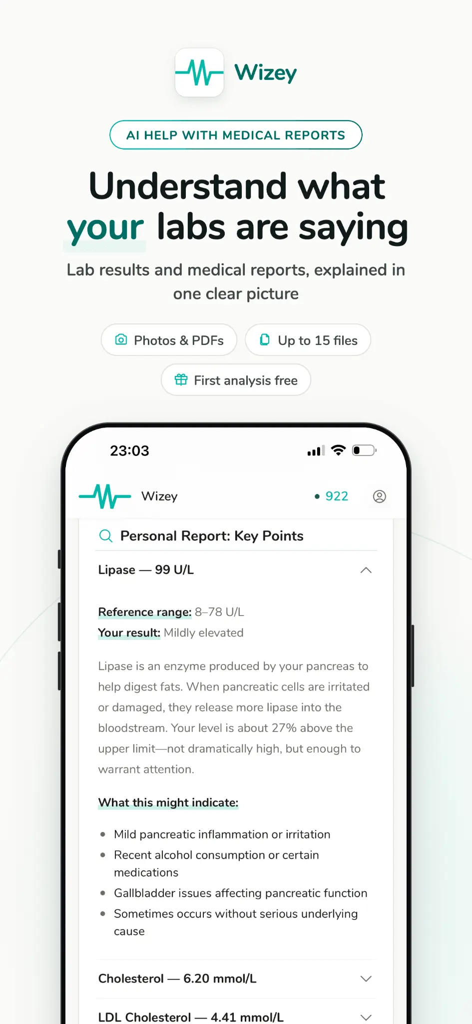Screenshot 1 of Wizey — AI Lab Results Analyzer