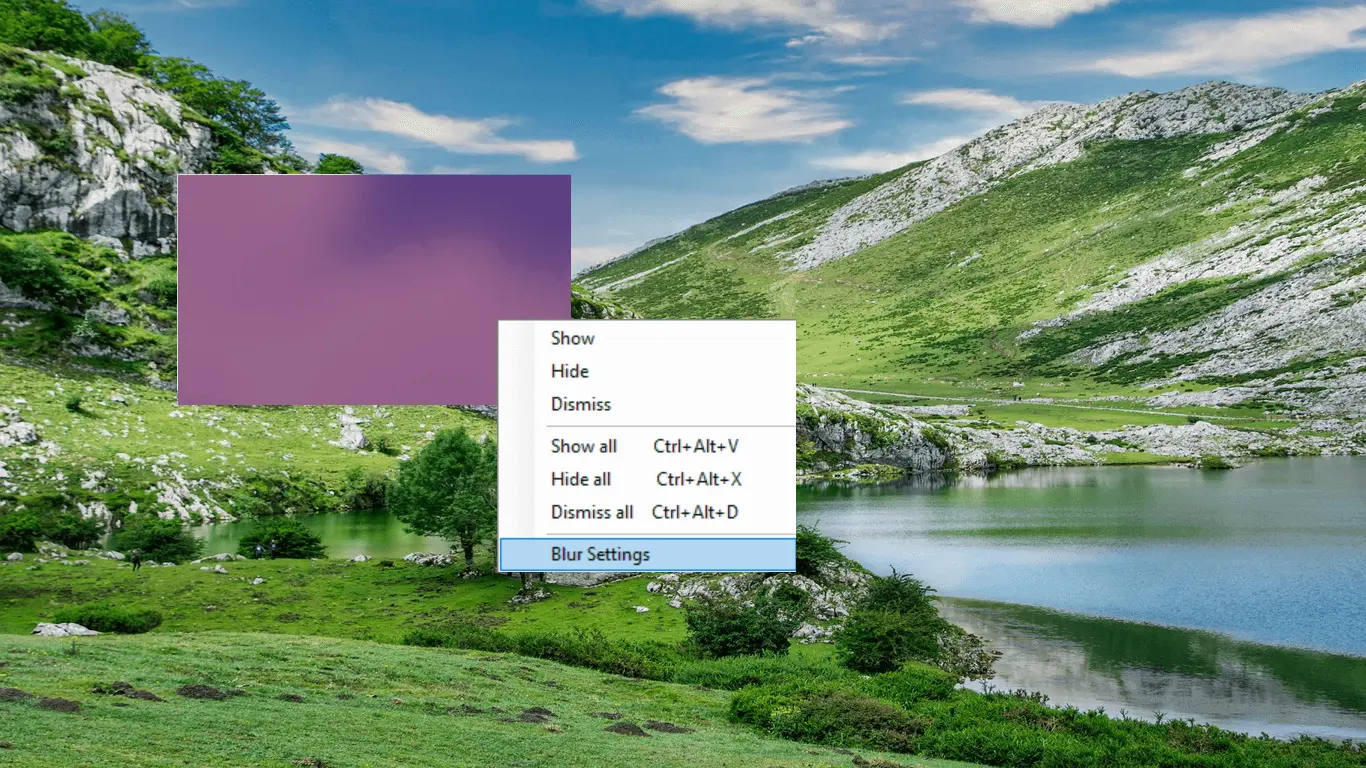 Screenshot 1 of Blur Guard