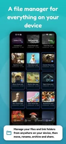 Screenshot 5 of Everdisk