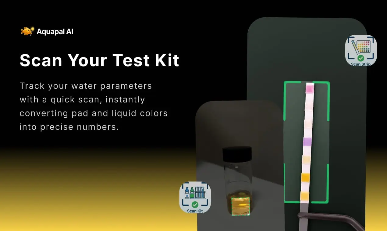 Screenshot 4 of Aquapal AI