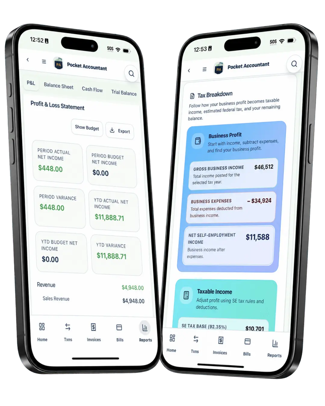 Screenshot 1 of Pocket Accountant