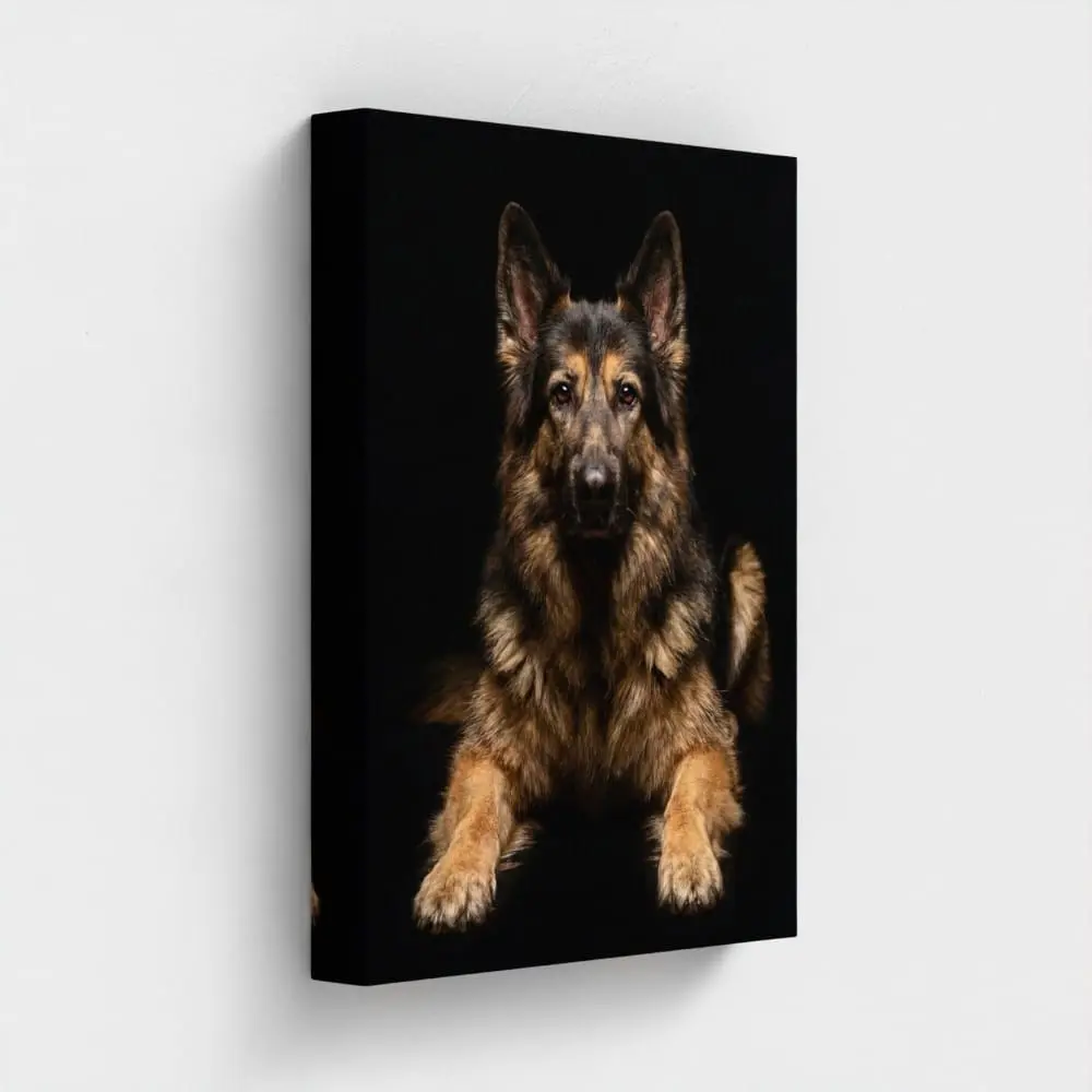 Screenshot 6 of Pet Person