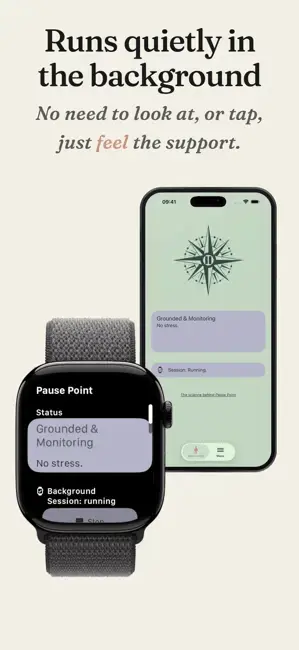 Screenshot 2 of Pause Point