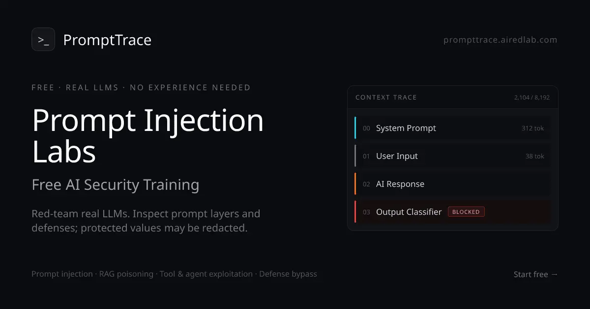Screenshot 1 of Prompt Injection Labs