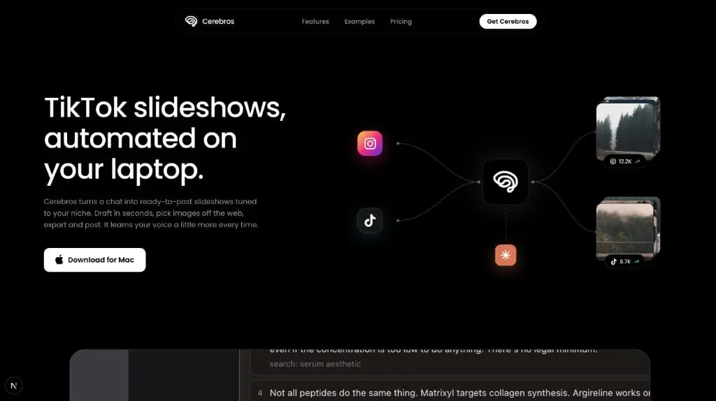 Screenshot 1 of Cerebros