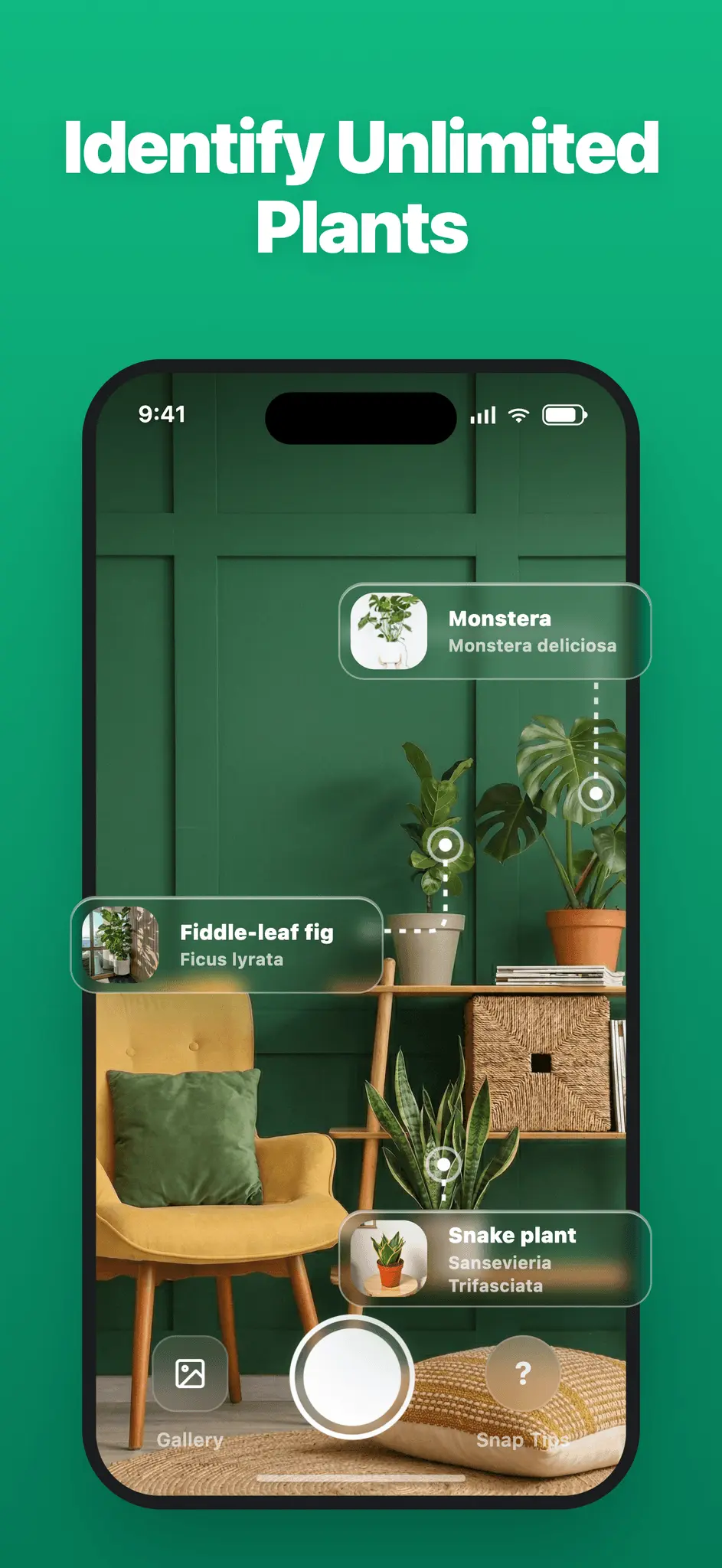 Screenshot 3 of LivePlant : Plant Identifier