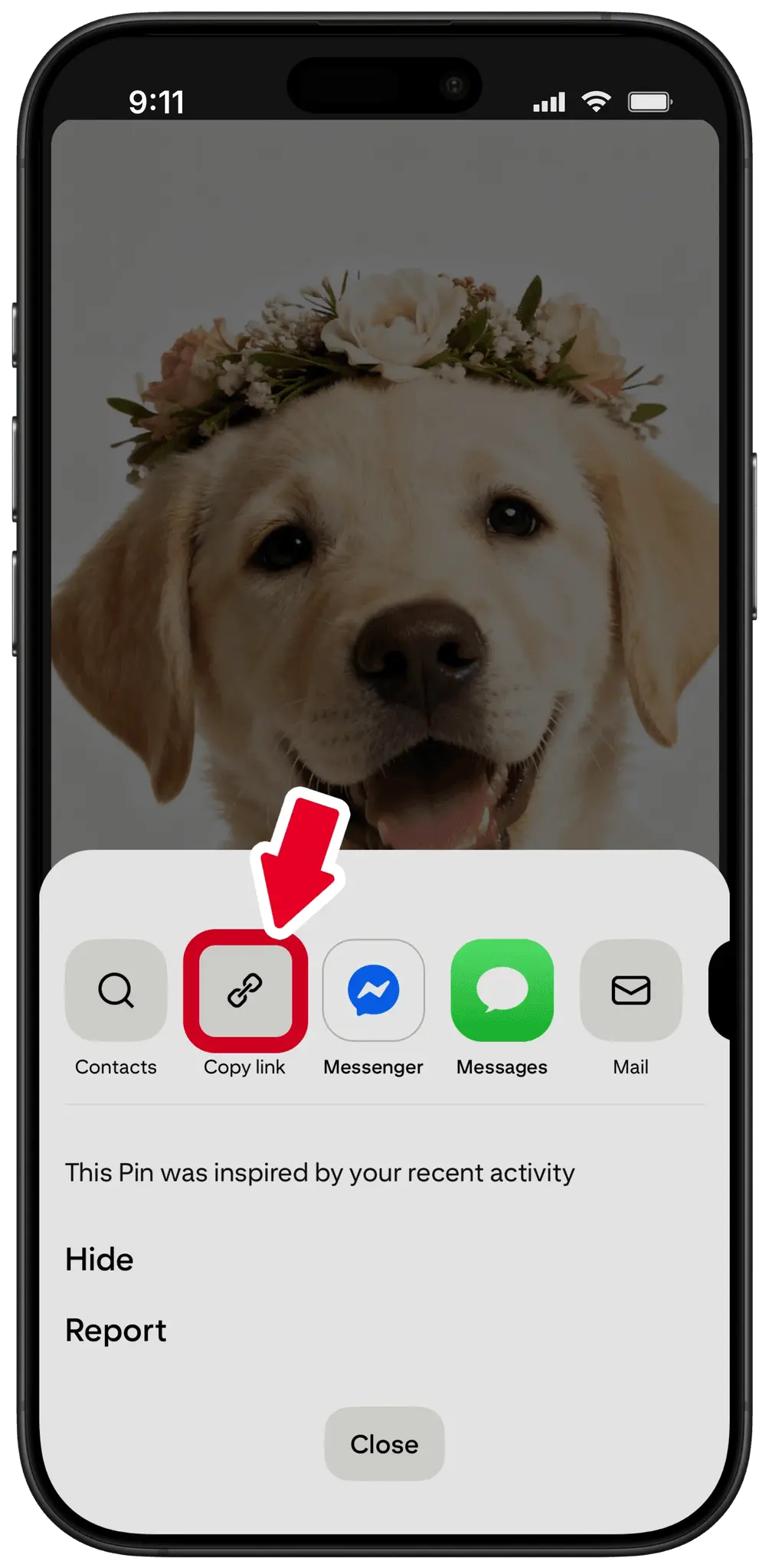 Screenshot 3 of PinLoad - Pinterest Video Downloader