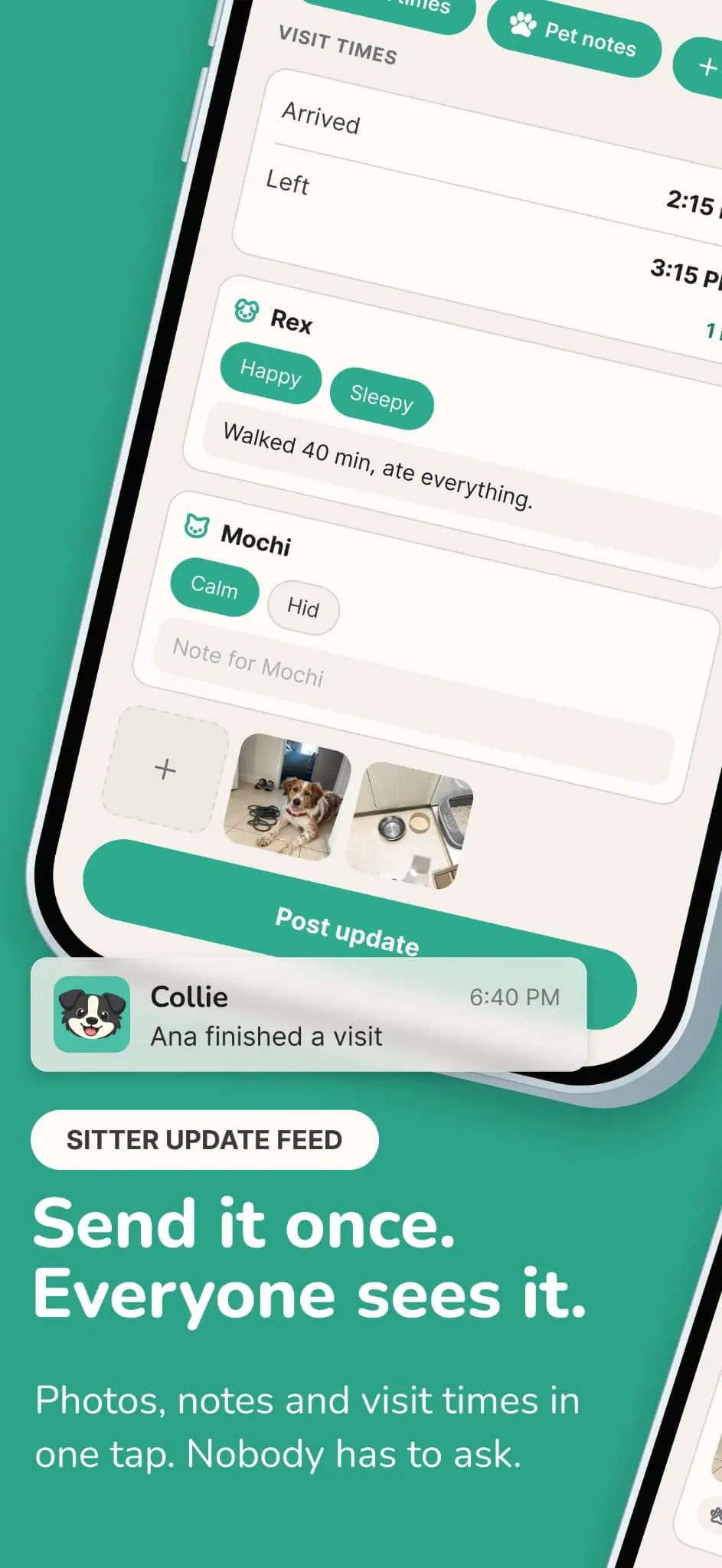 Screenshot 9 of Collie