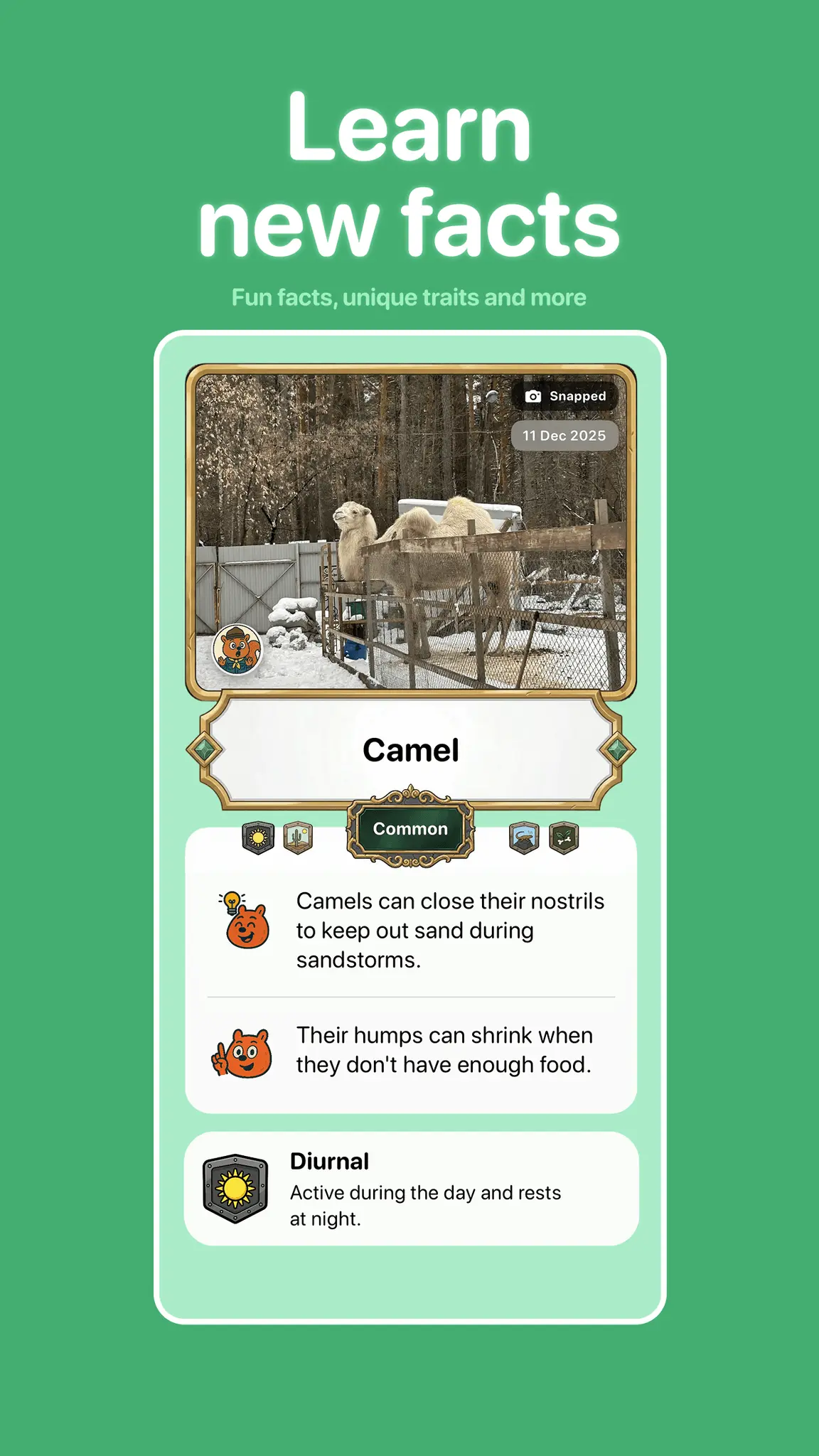 Screenshot 3 of Snappit