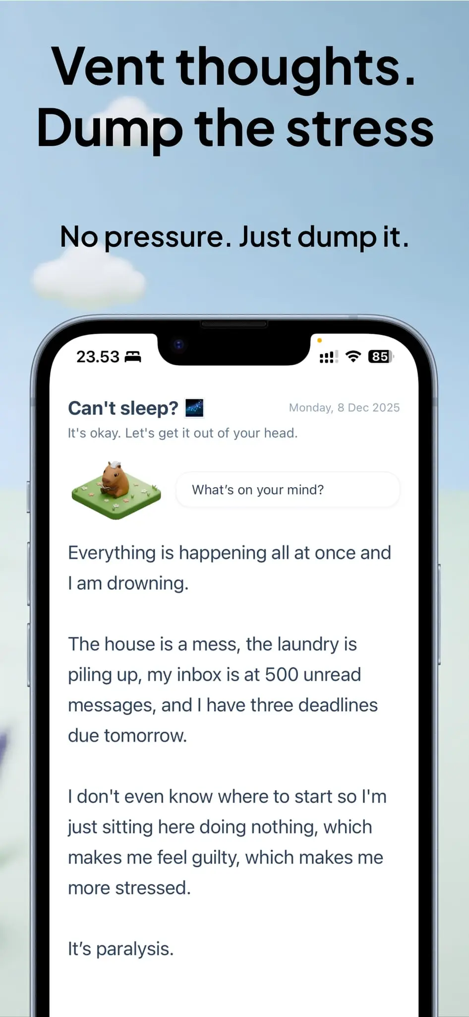 Screenshot 8 of Pippin – Overthinking Journal