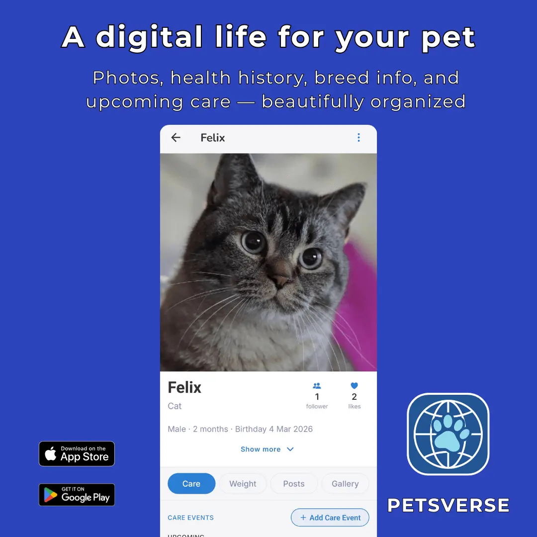 Screenshot 5 of PetsVerse