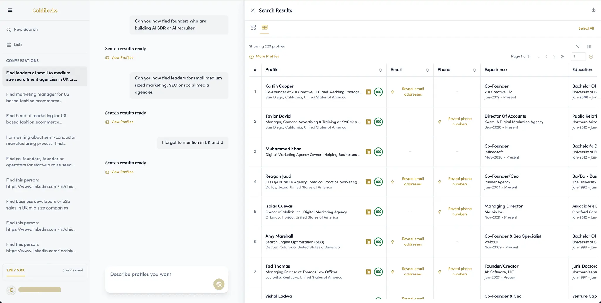 Screenshot 2 of Goldilocks People Search Platform