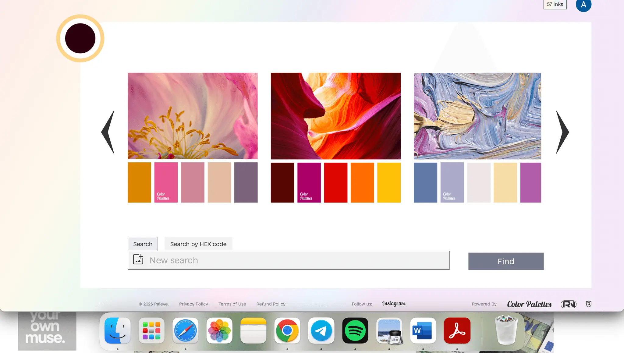 Screenshot 3 of Paleye
