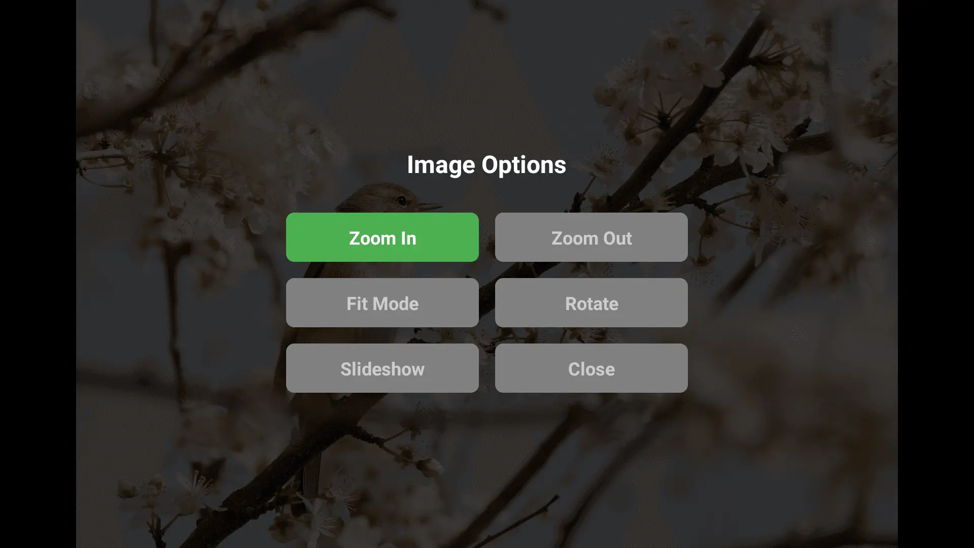 Screenshot 5 of USB Gallery