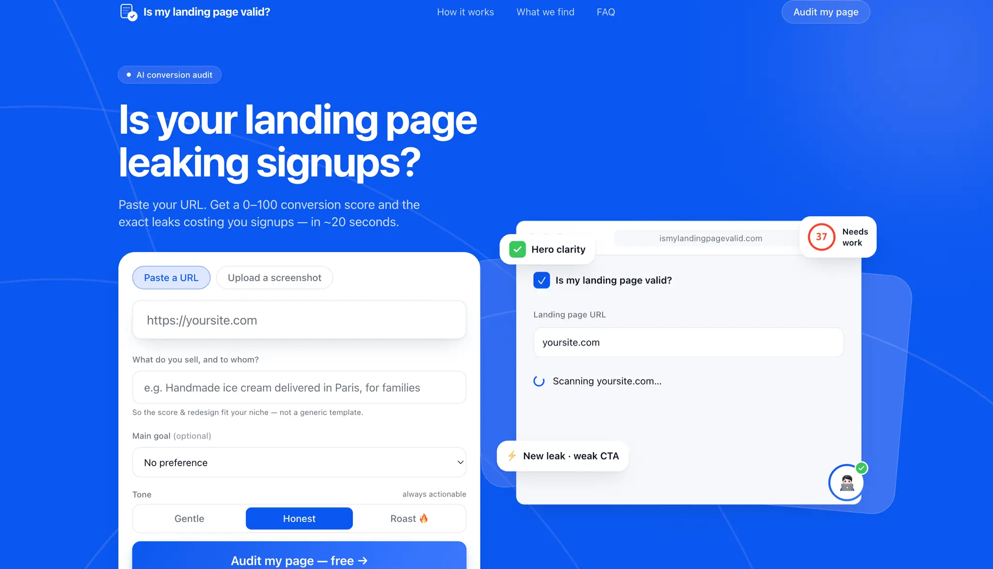 Screenshot 2 of Is My Landing Page Valid?