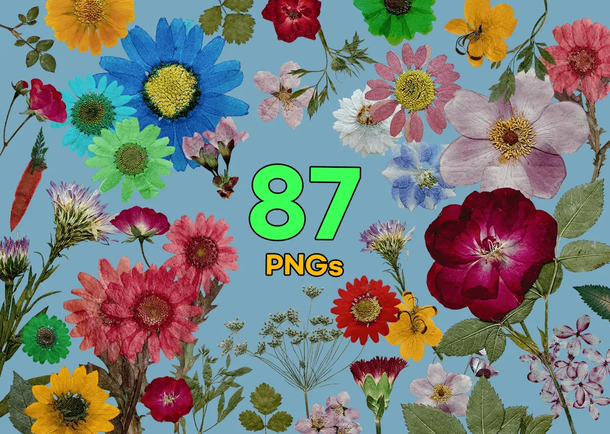Screenshot 8 of PNG Heaven