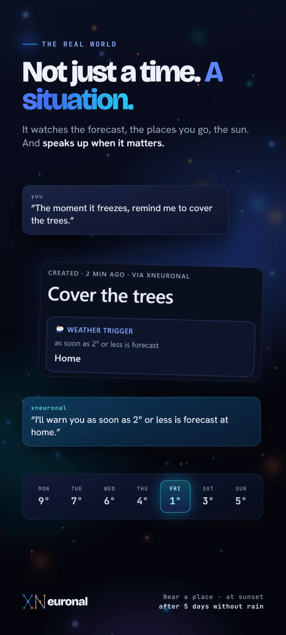 Screenshot 4 of XNeuronal