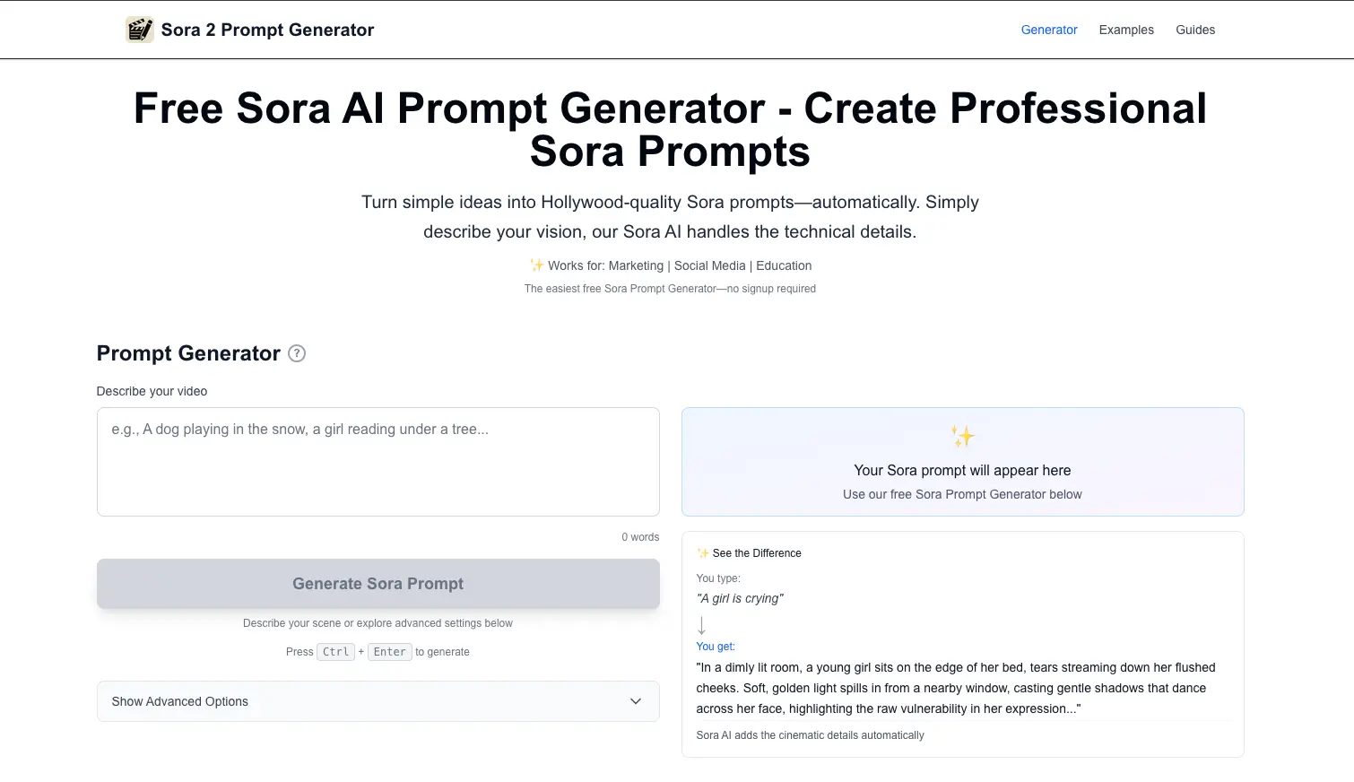 Screenshot 2 of Sora Prompt Generator