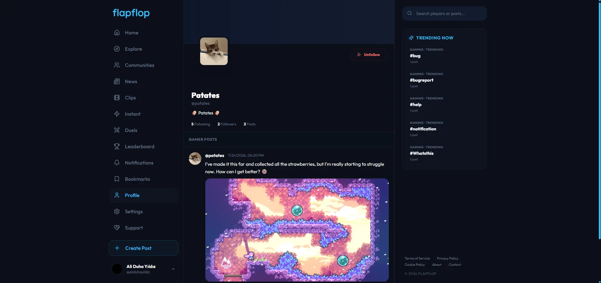 Screenshot 5 of flapflop
