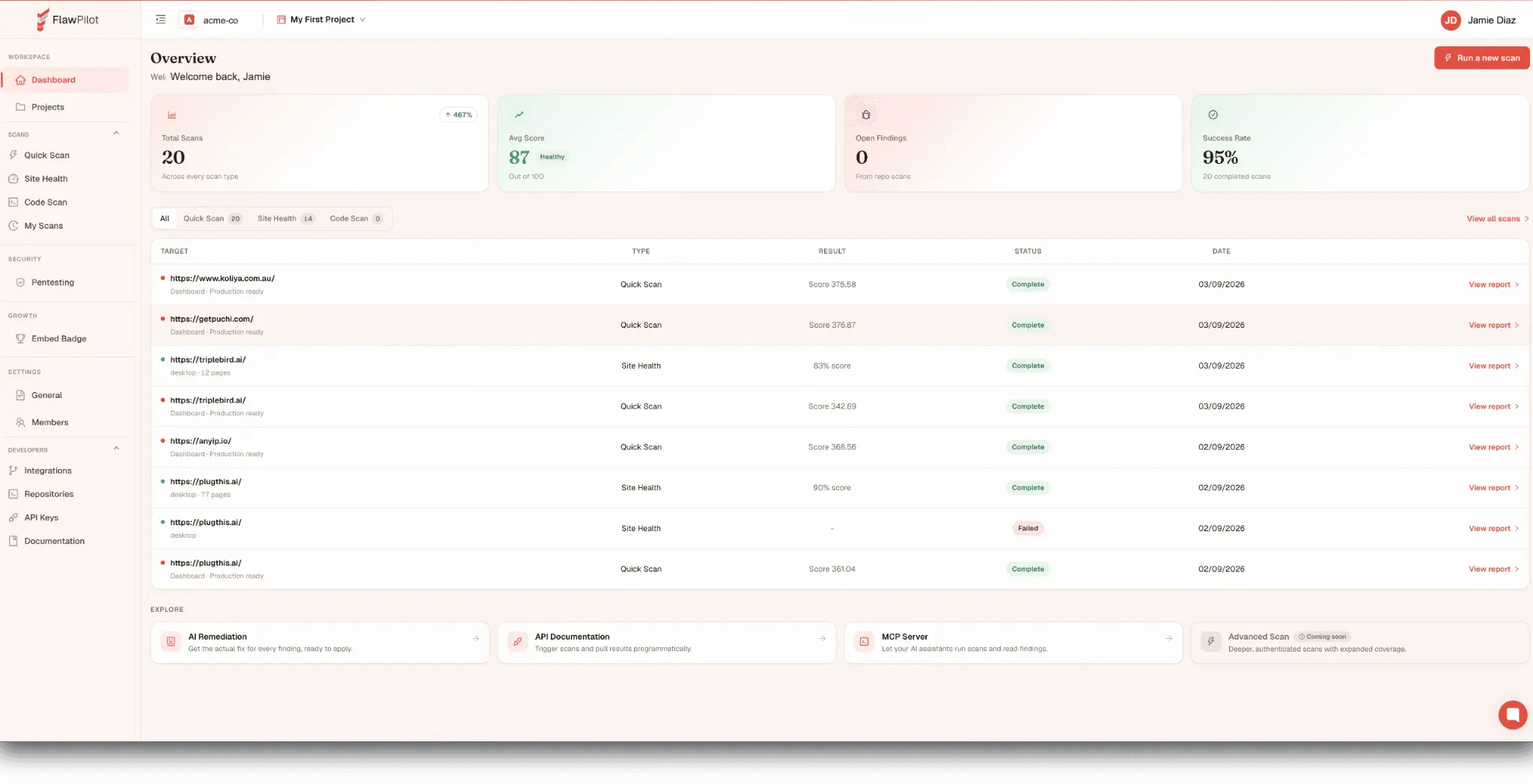 Screenshot 4 of FlawPilot