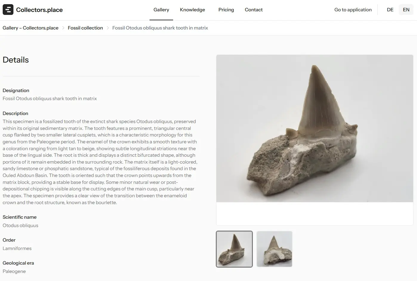 Screenshot 6 of Collectors.place