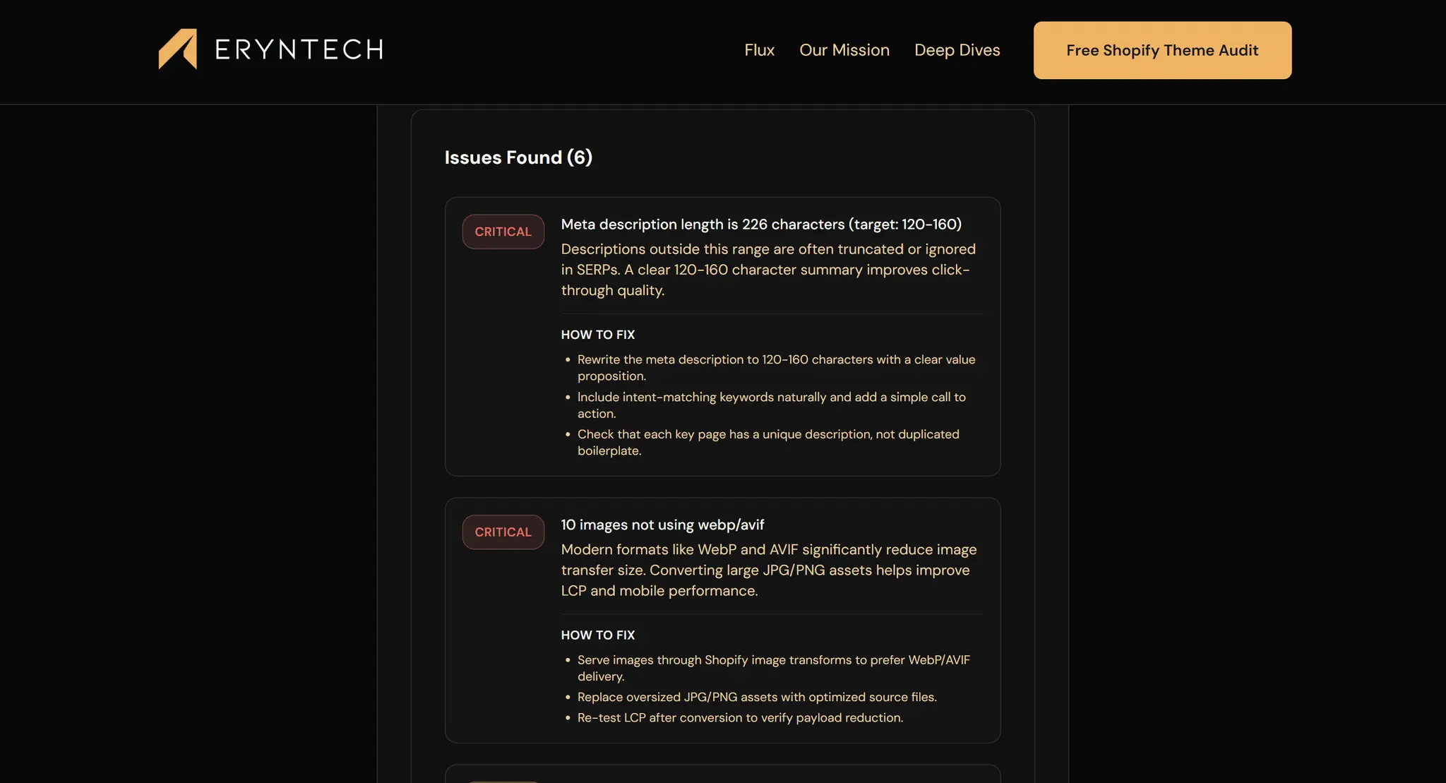 Screenshot 2 of Free Shopify Store Audit Tool