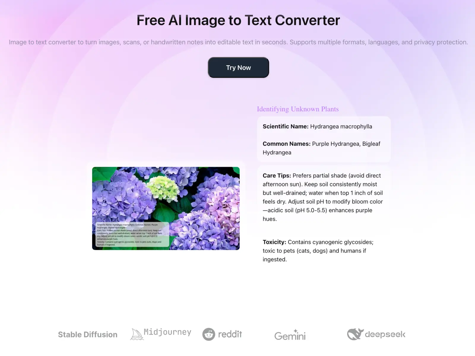 Screenshot 2 of AI Image to Text