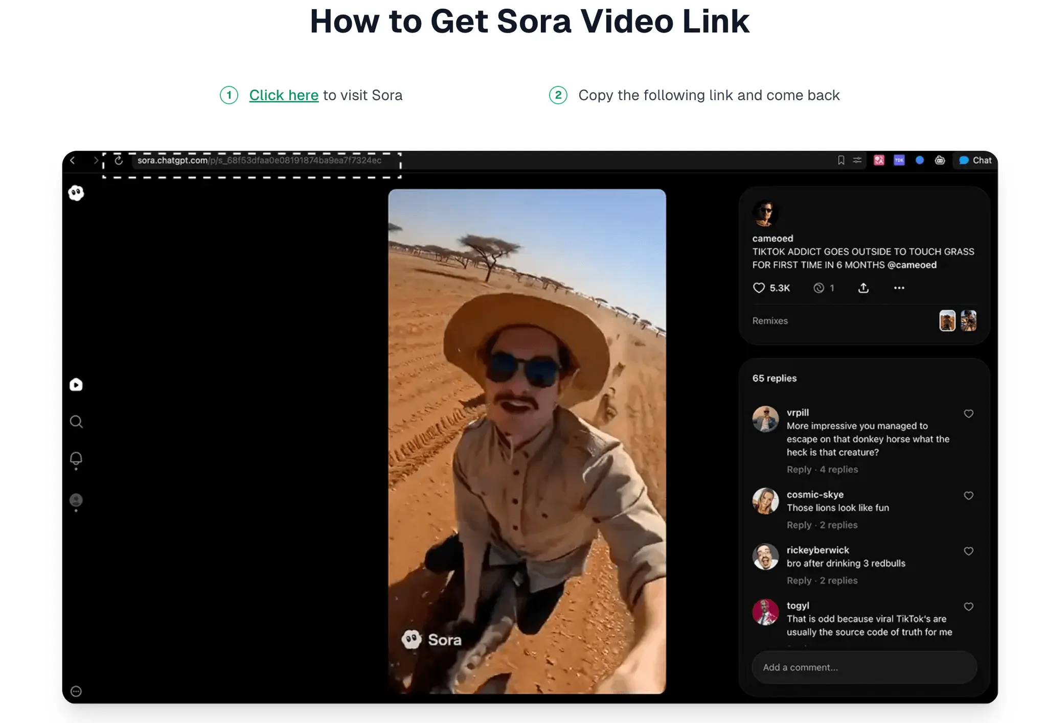 Screenshot 3 of removesorawatermark