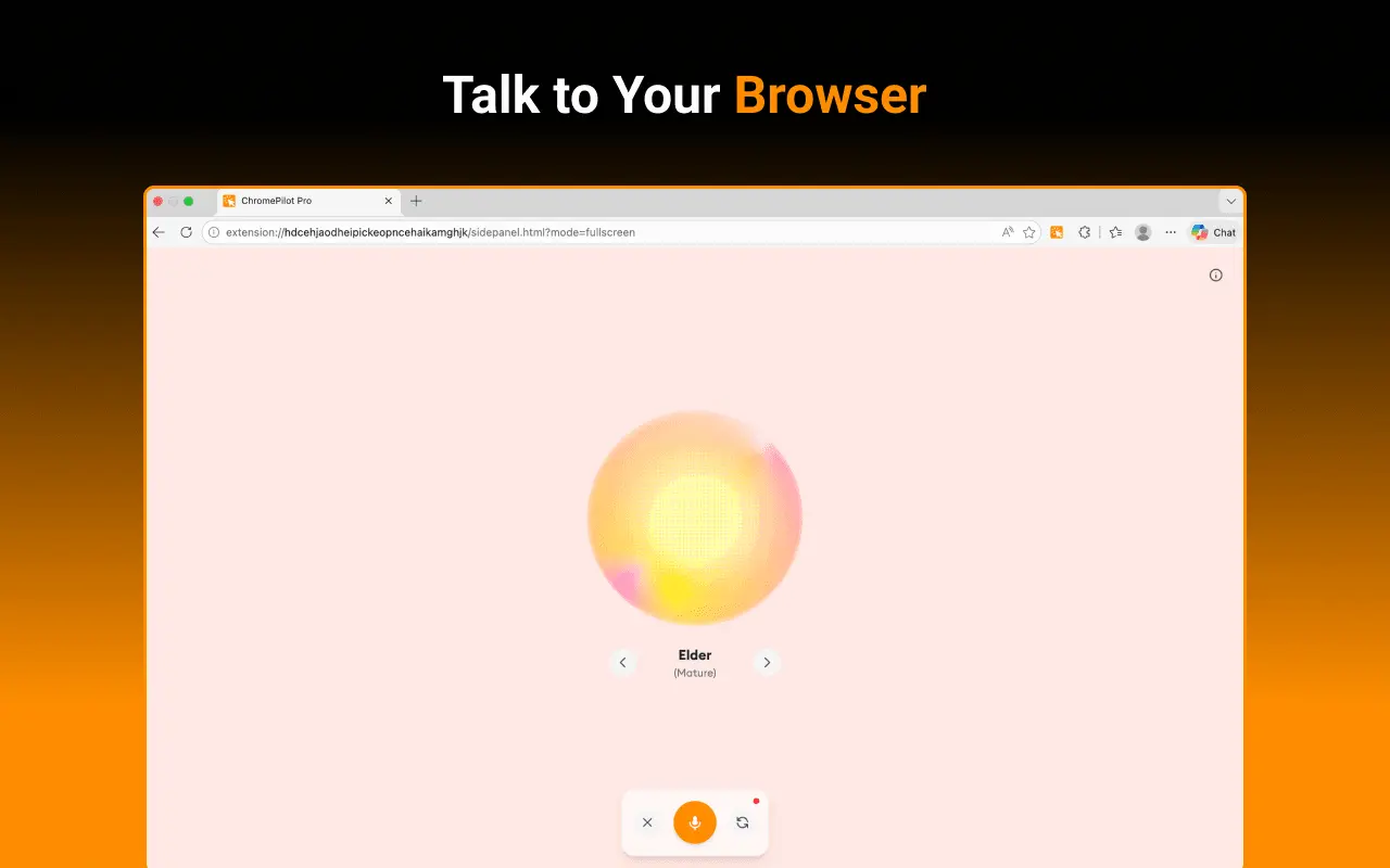 Screenshot 6 of ChromePilot