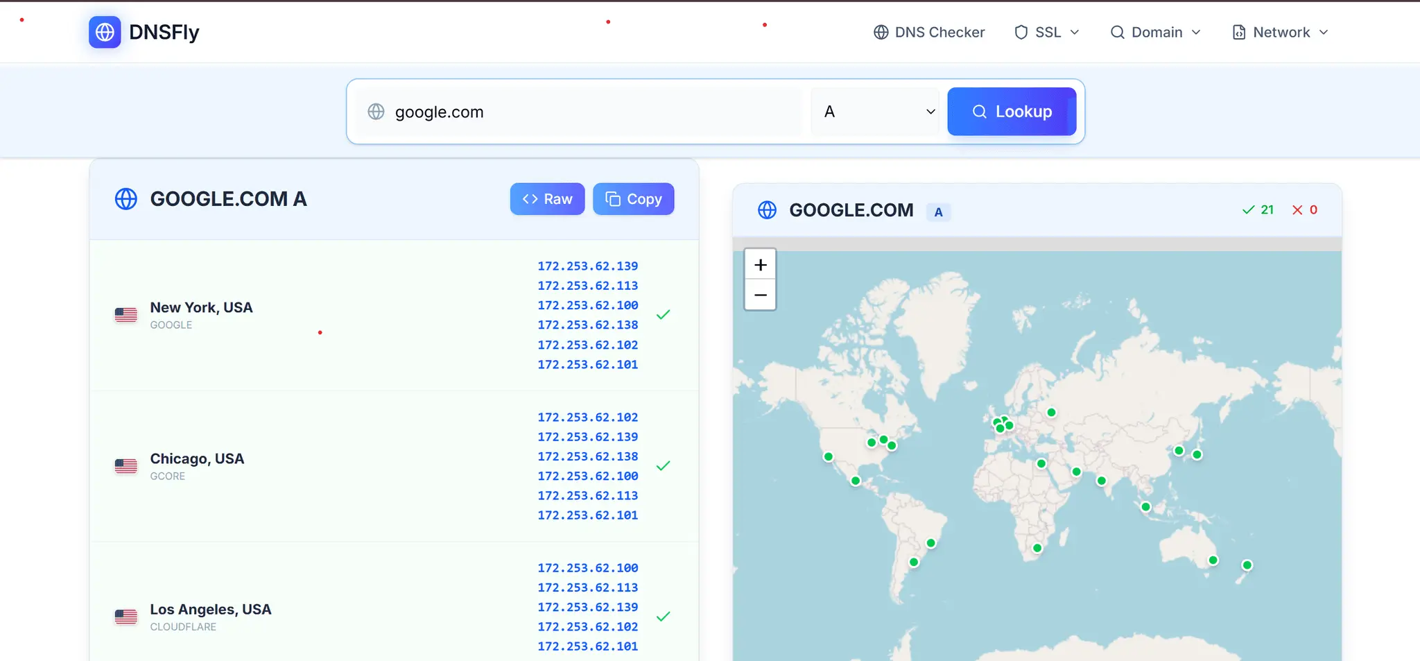 Screenshot 1 of DNSFly