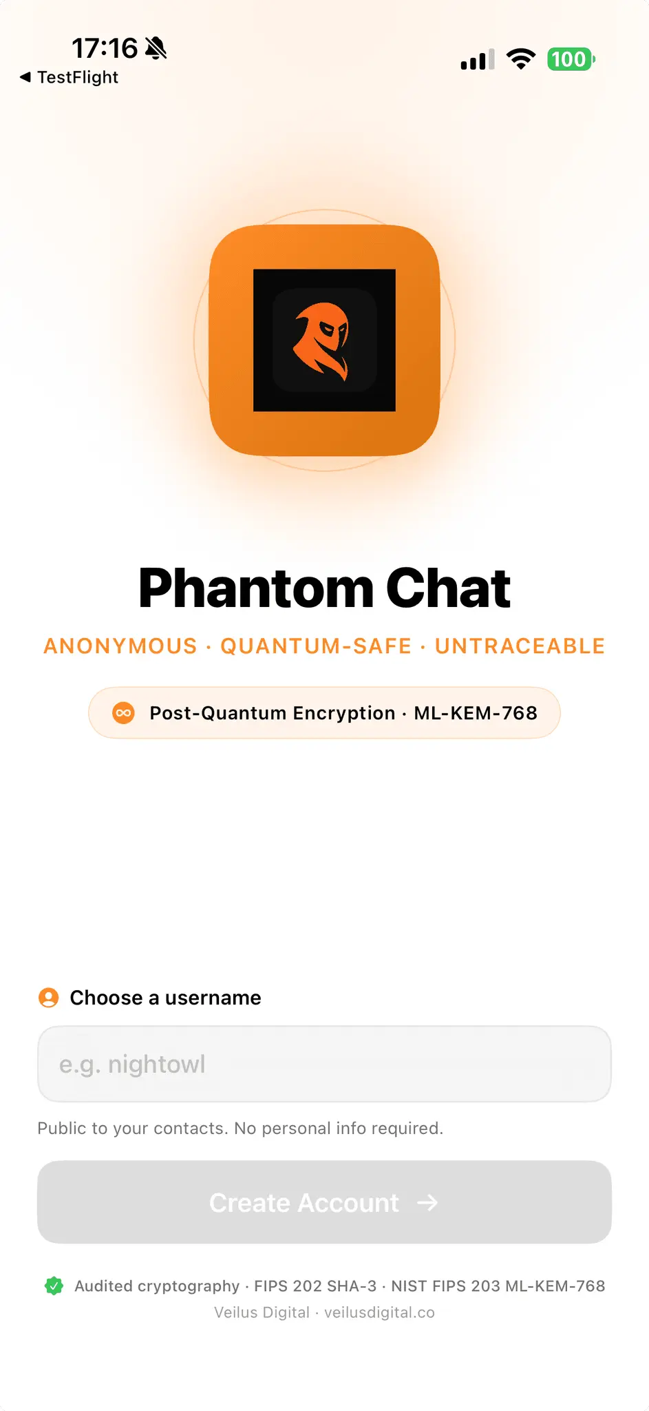 Screenshot 4 of Phantom Chat