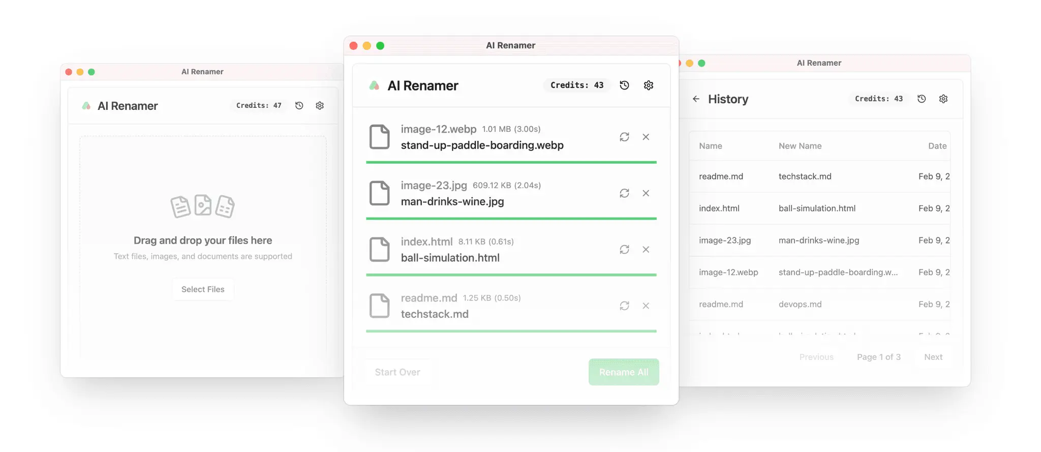 Screenshot 1 of AI Renamer