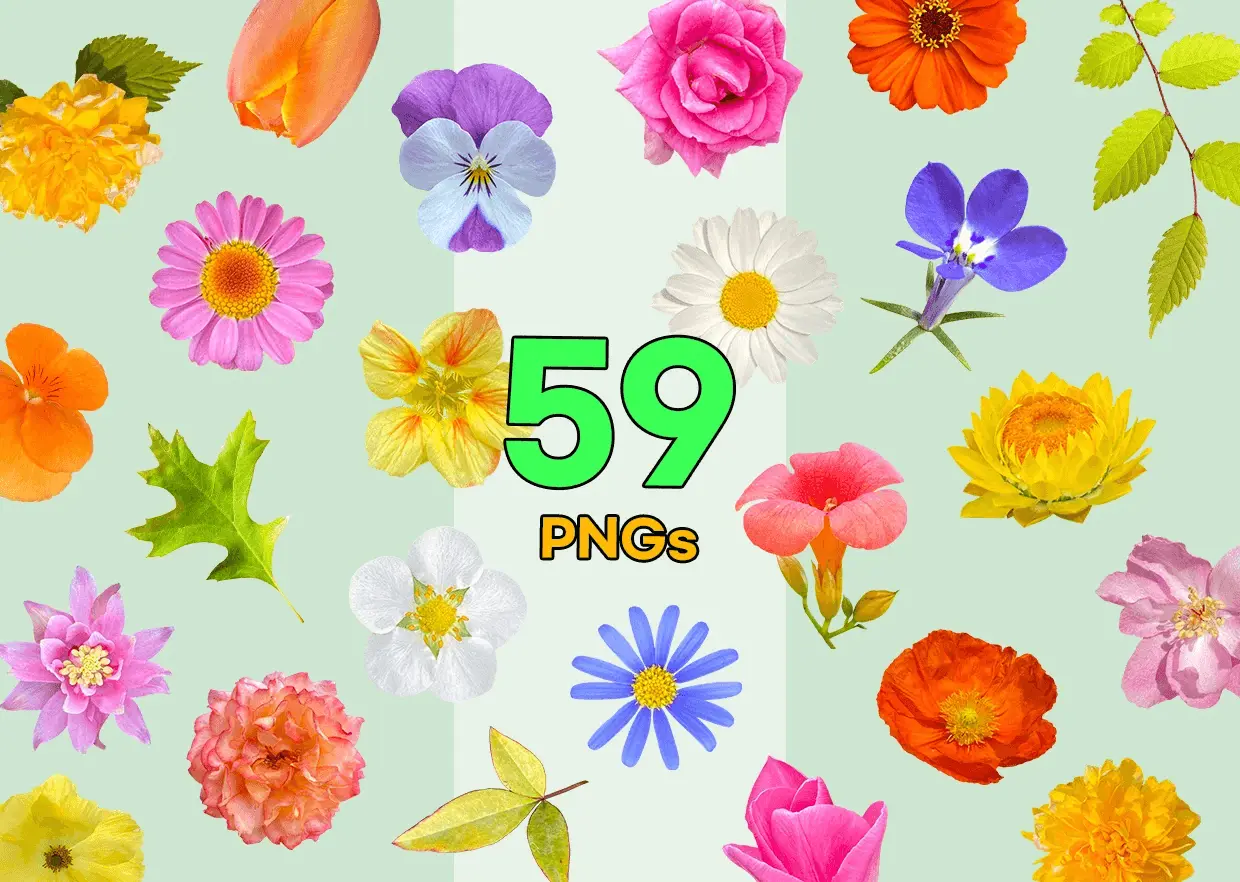 Screenshot 9 of PNG Heaven