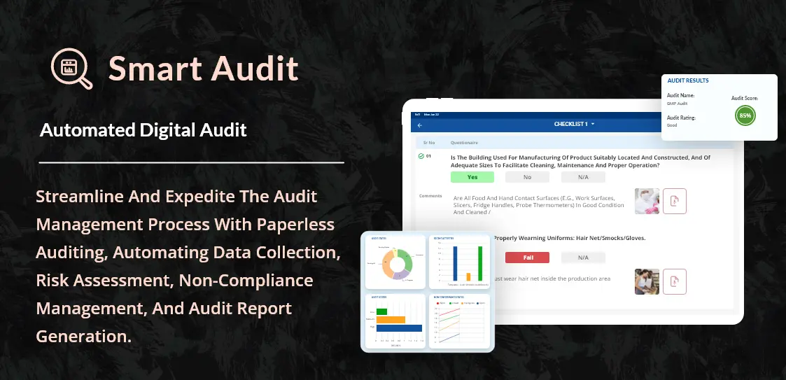Screenshot 3 of Smart Audit