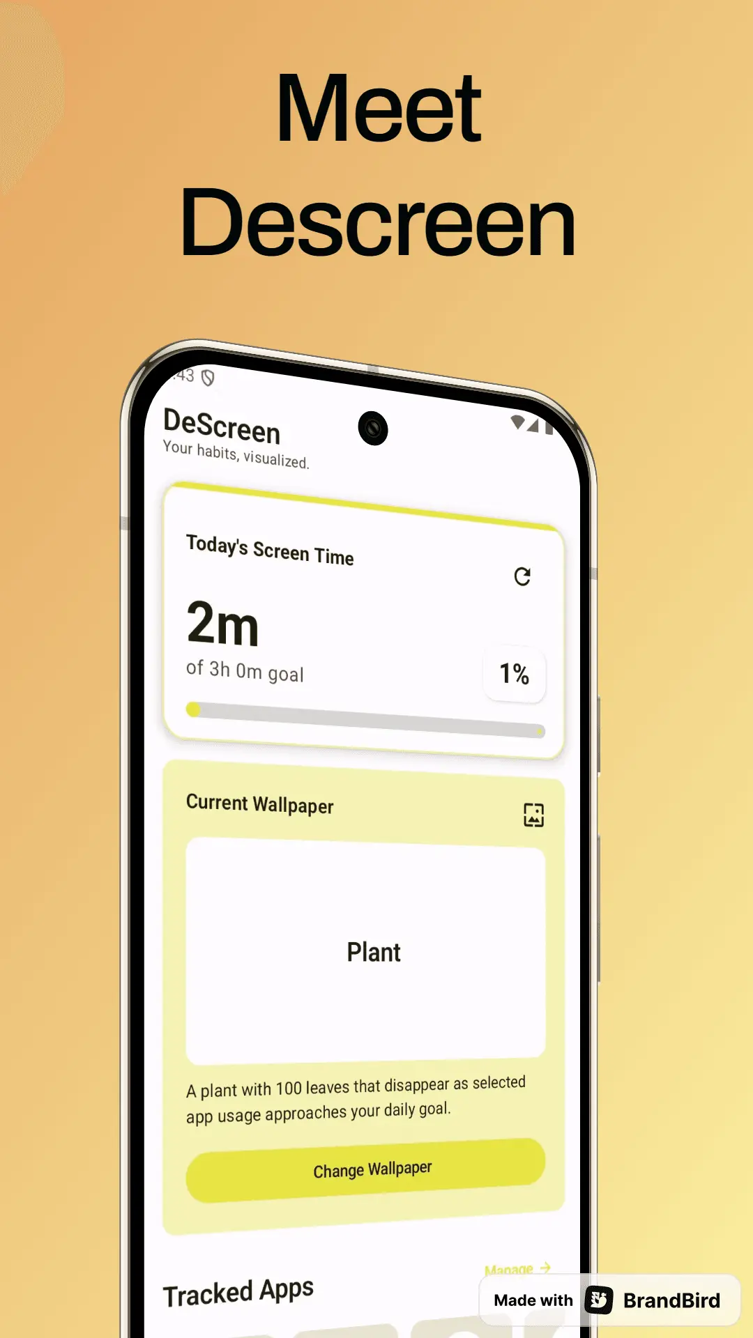 Screenshot 3 of DeScreen