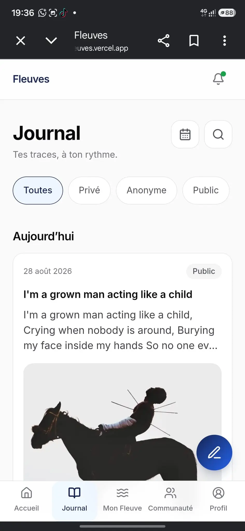 Screenshot 1 of Fleuves