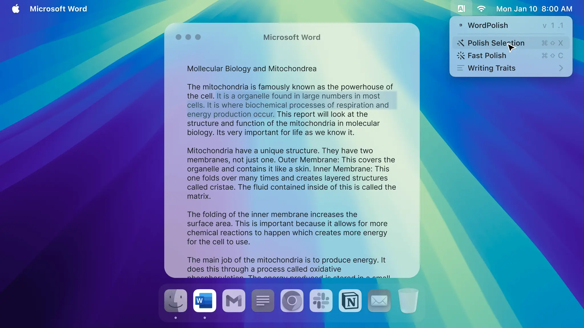 Screenshot 3 of WordPolish