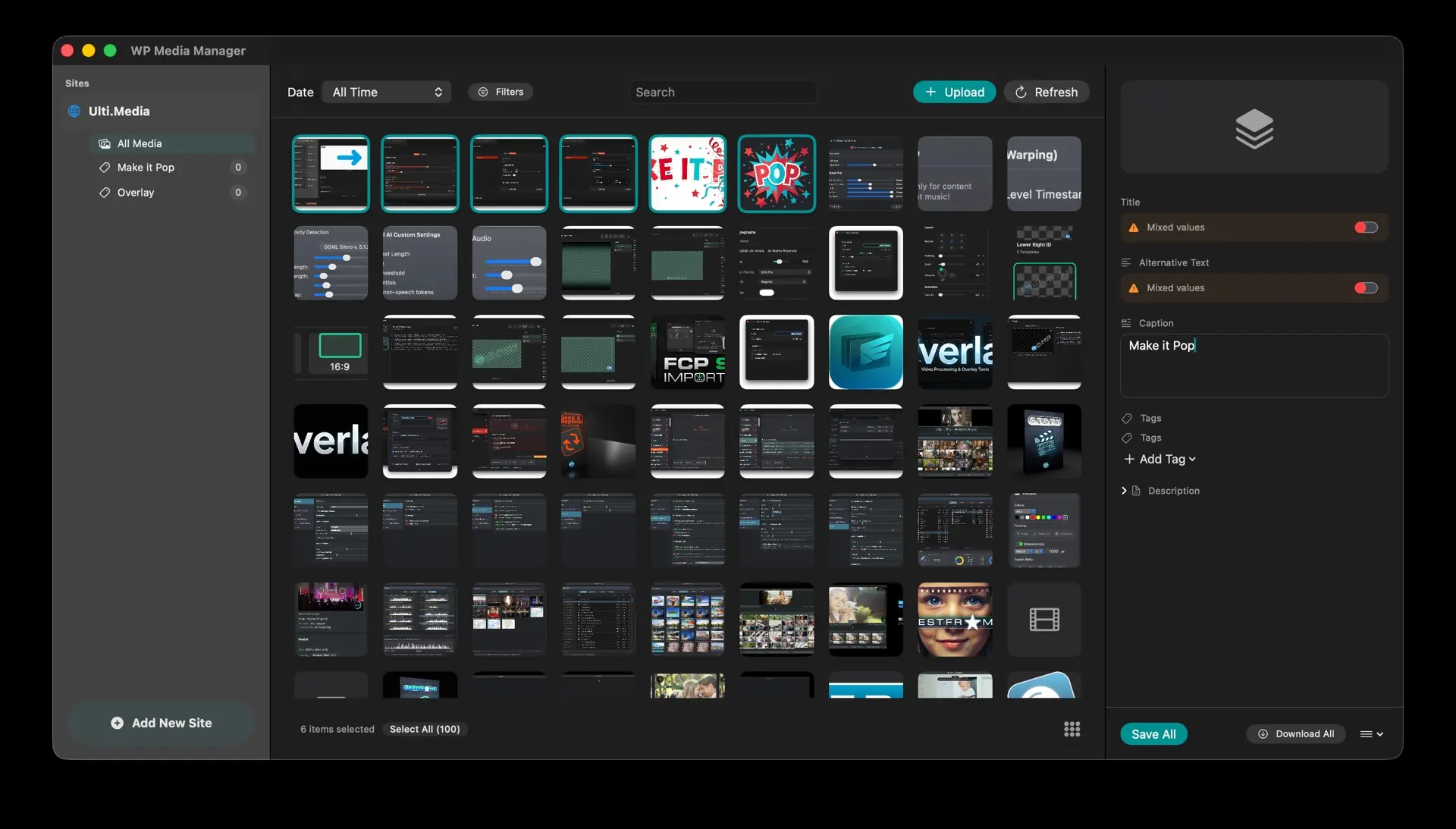 Screenshot 1 of WP Media Manager