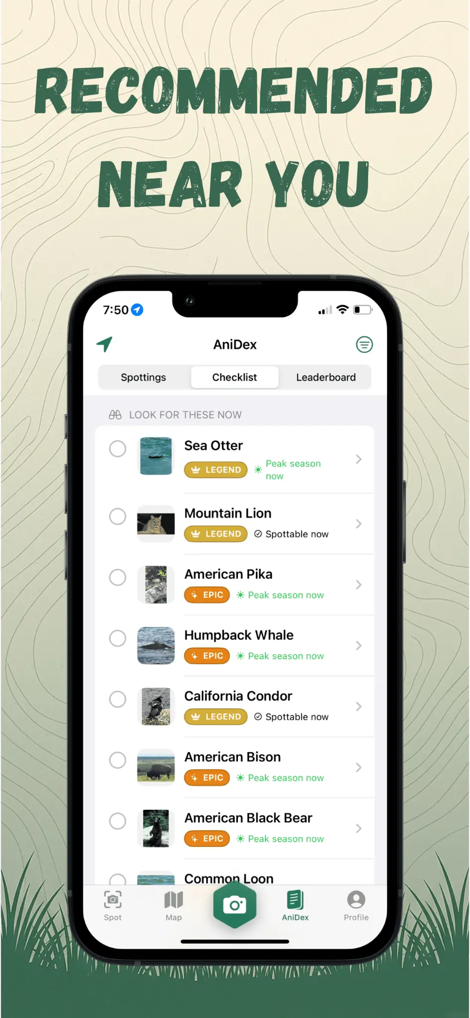 Screenshot 6 of AniSpotter