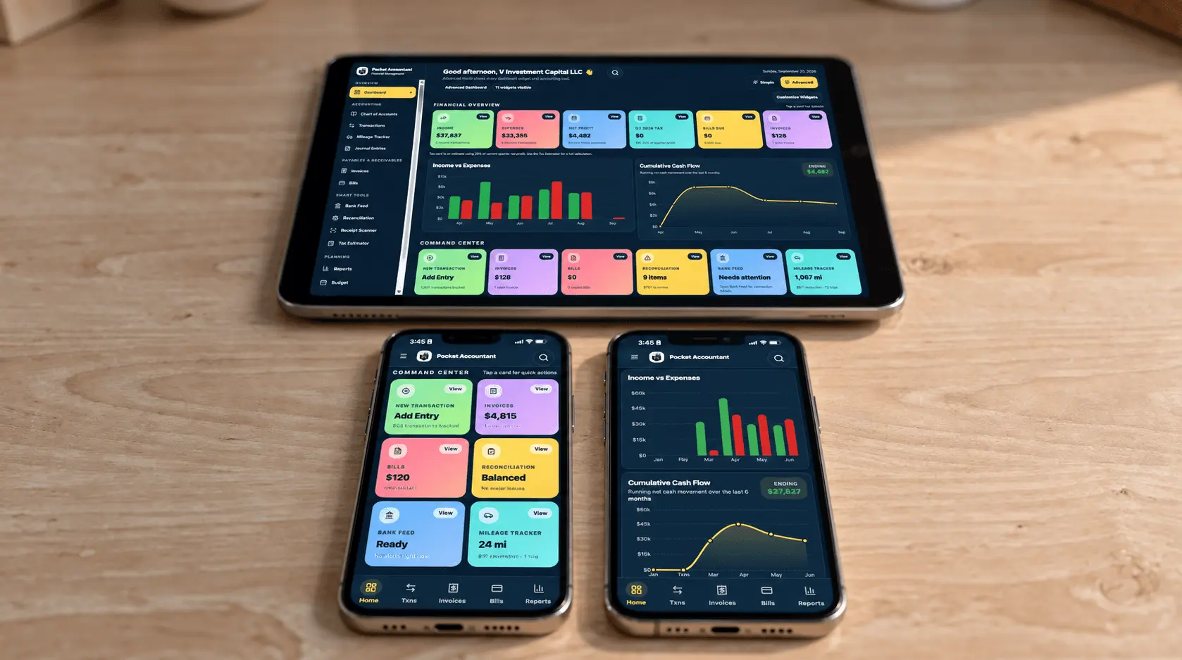 Screenshot 3 of Pocket Accountant